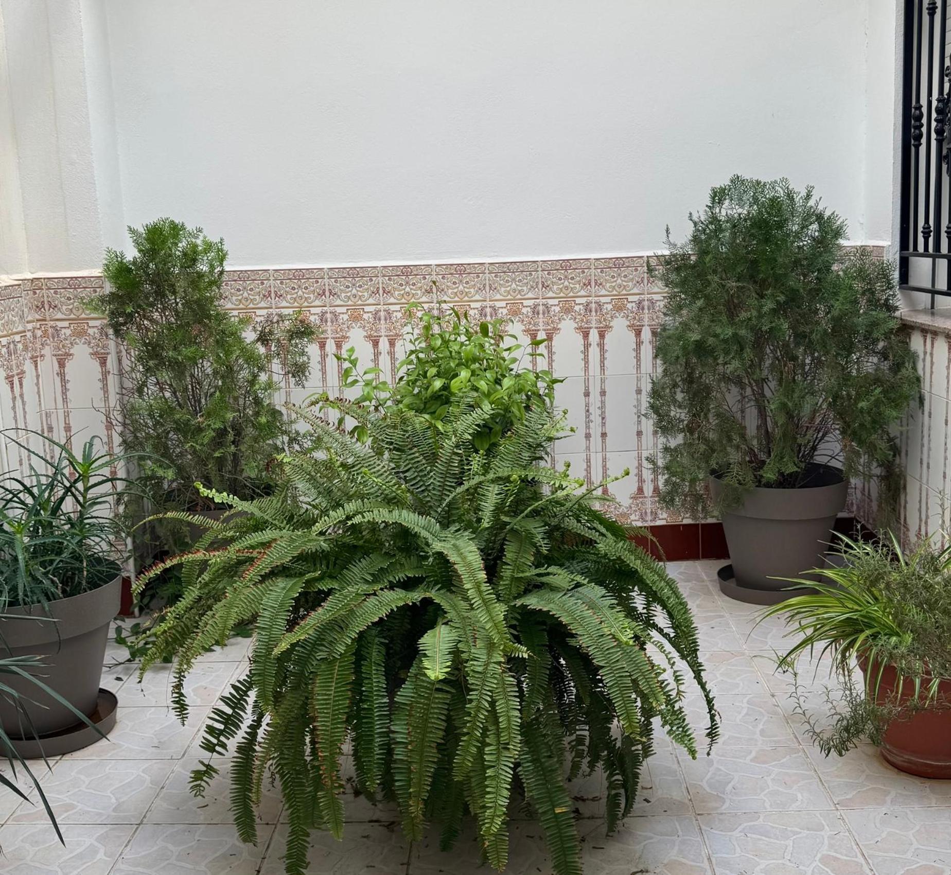 Hotel Ciudad Pozo Alcón المظهر الخارجي الصورة